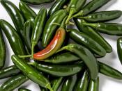 <p>These peppers may be small, but they have a good kick. In fact, the smaller they are, the spicier they can be. They range in color from red to yellow-orange to green. You'll find them in recipes for <a href="https://www.delish.com/cooking/recipe-ideas/a35569431/giardiniera-recipe/" rel="nofollow noopener" target="_blank" data-ylk="slk:giardiniera;elm:context_link;itc:0;sec:content-canvas" class="link ">giardiniera</a> and Mexican dishes.</p><p>Scoville heat units: 15,000-30,000</p>