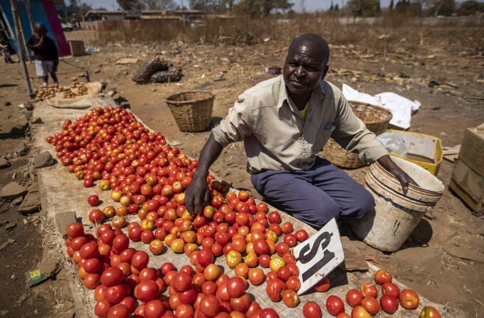 A man sells tomatoes for around 1 Zimbabwean "bond" (10 U.S. cents) per eight tomatoes, at a street market in Kuwadzana, on the outskirts of the capital Harare, in Zimbabwe Tuesday, Sept. 10, 2019. Former president Robert Mugabe, who enjoyed strong backing from Zimbabwe's people after taking over in 1980 but whose support waned following decades of repression, economic mismanagement and allegations of election-rigging, is expected to be buried on Sunday, state media reported. (AP Photo/Ben Curtis)