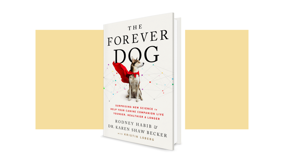 Mother's Day gifts for dog moms: The Forever Dog book