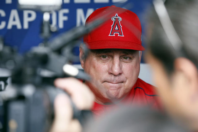 The Mike Scioscia I Knew, and His Final Day as Angels Manager