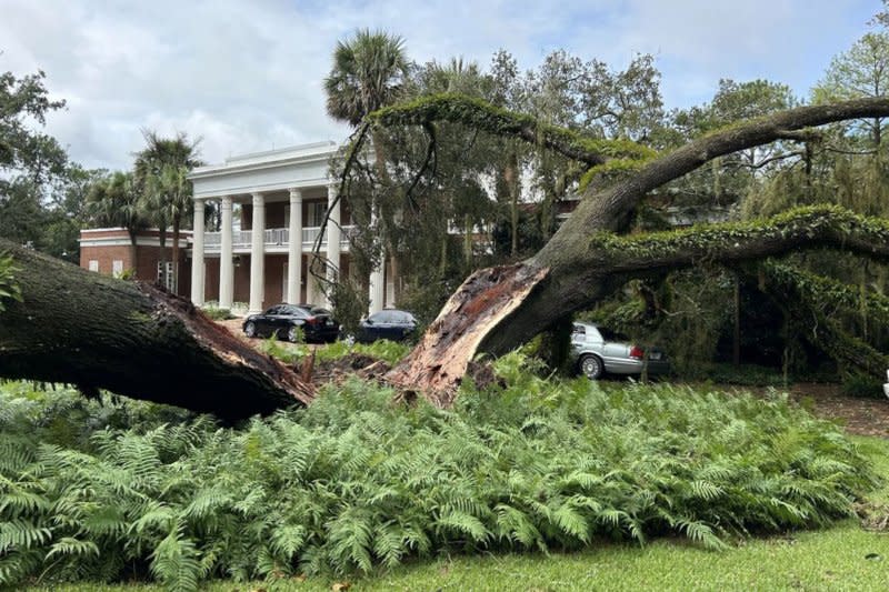 A 100-year-old oak tree that fell on the Florida Governor's Mansion in Tallahassee on Wednesday as Hurricane Idalia made landfall in the Sunshine State. Photo via Casey DeSantis/UPI