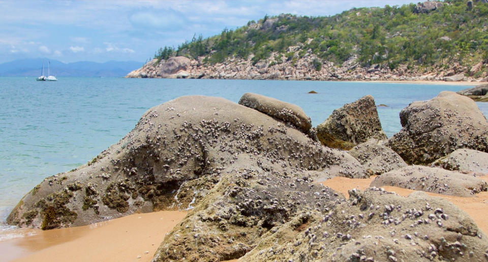 Nelly Bay, Magnetic Island. 