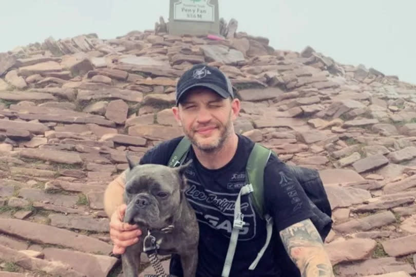 Tom and Blue at the top of Pen y Fan