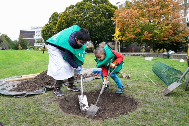 Boys plant tree