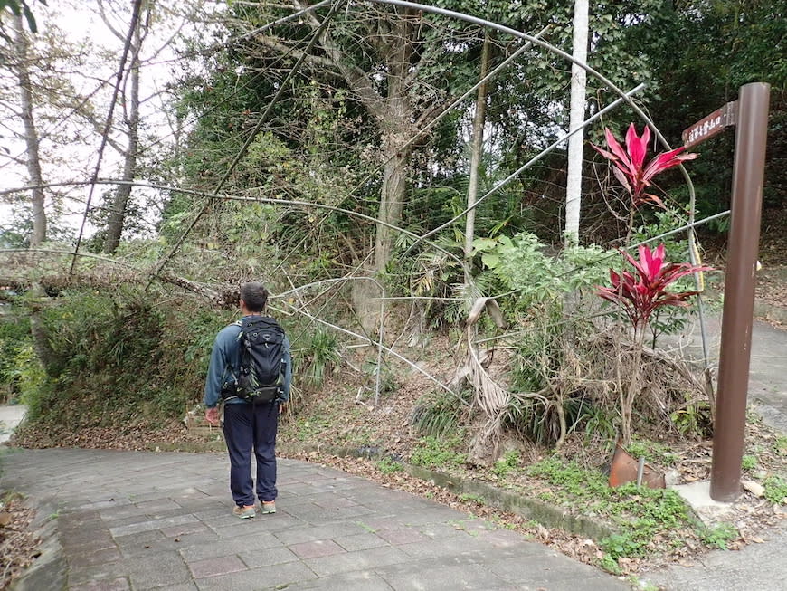 新竹十二寮登山步道