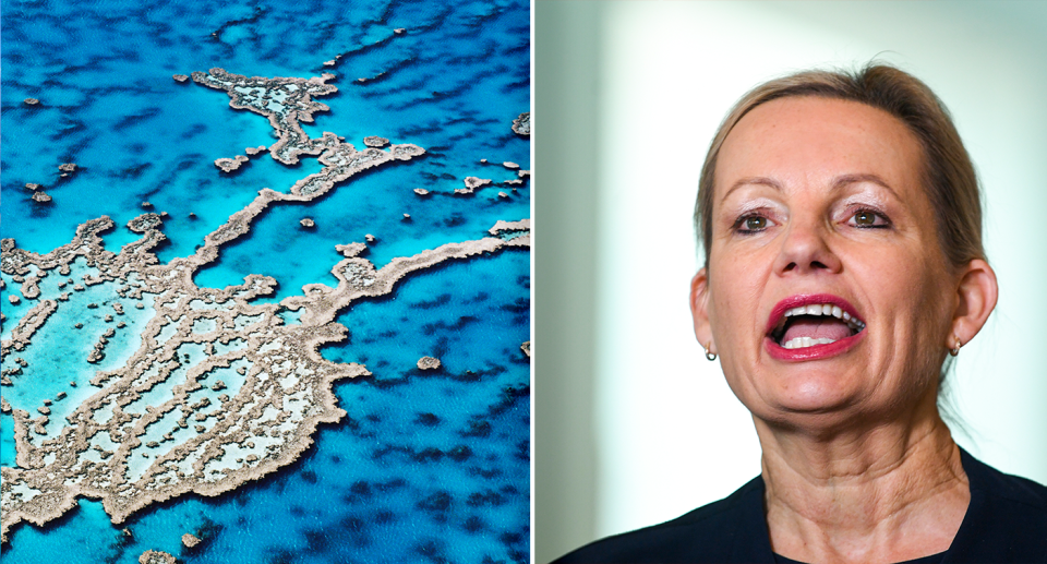 An aerial view of the Great Barrier Reef and a picture of Sussan Ley.