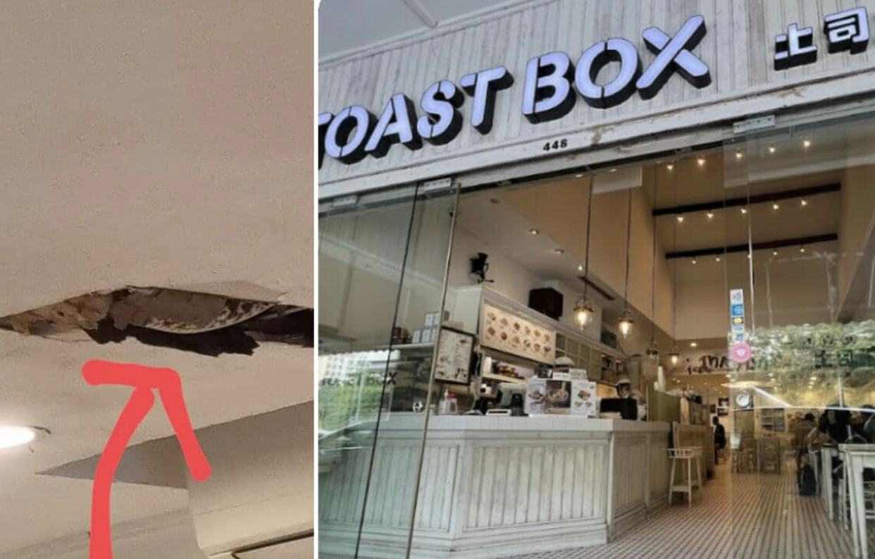 Python found in ceiling after panel drops at Toast Box outlet at The Rail Mall 