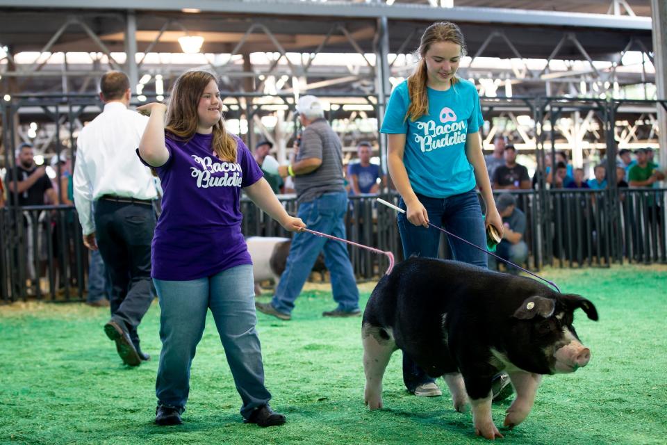 Katie Ball, 22, of Waukee, left, shows a pig with her mentor Nevaeh Brown, 14 of Earlham, right, during the Bacon Buddies swine show at the Iowa State Fair on Saturday, Aug. 10, 2019 in Des Moines. Bacon Buddies is a new program that pairs people with special needs with FFA participants to show pigs.