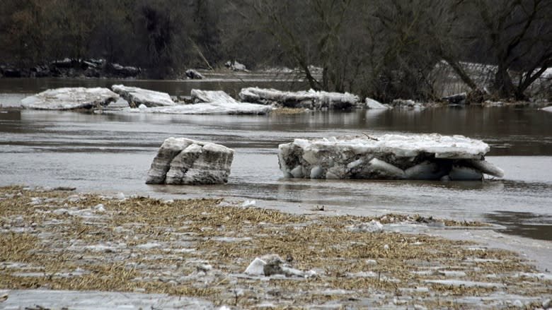 Brantford residents defy evacuation order to protect their homes