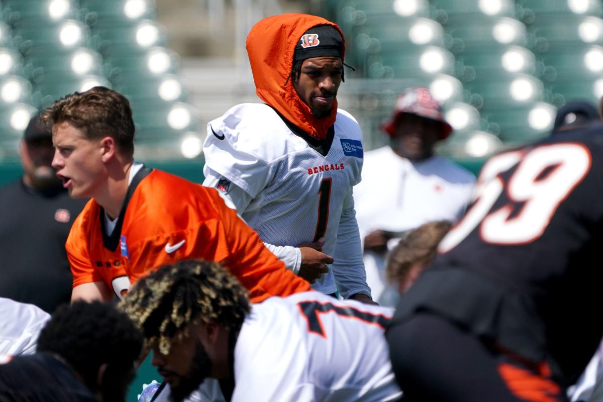 Bengals Will Wear White Bengal Uniform in Primetime This Season