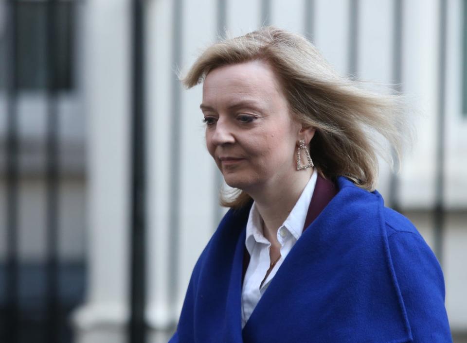 Foreign Secretary Liz Truss said Ukrainians are negotiating for peace with a ‘gun against their heads’ (James Manning/PA) (PA Wire)