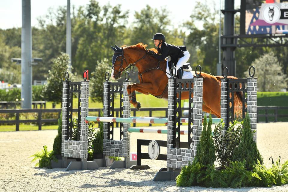 Hannah Serfass, a promising, 15-year-old junior show rider from Webster, Florida, died Sunday, following a fall while competing in an event at Fox Lea Farm, an equestrian center on Auburn Road near Venice.