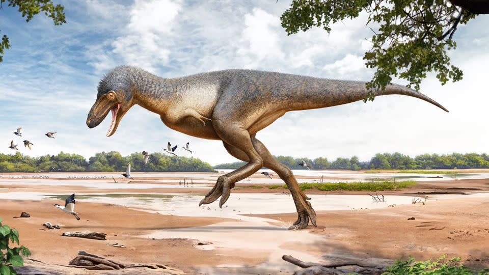 An artistic reconstruction of what the Denver Museum of Nature and Science dubbed "Teen Rex." An exhibition about the rare discovery will open on June 21 at the museum.  - Courtesy of the Denver Museum of Nature and Science