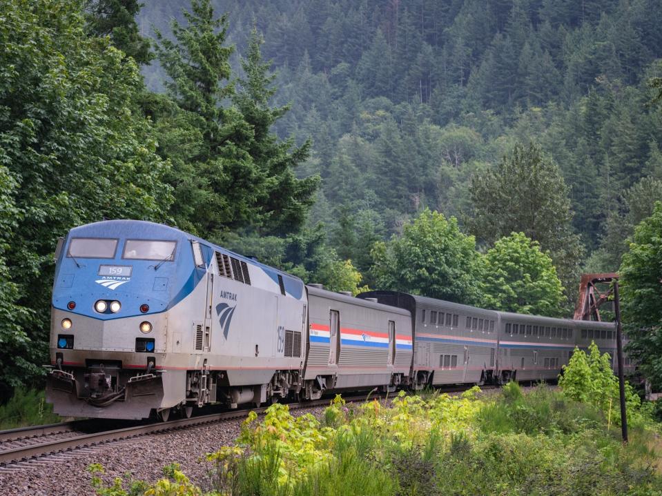 An Amtrak long-distance train going through lush trees