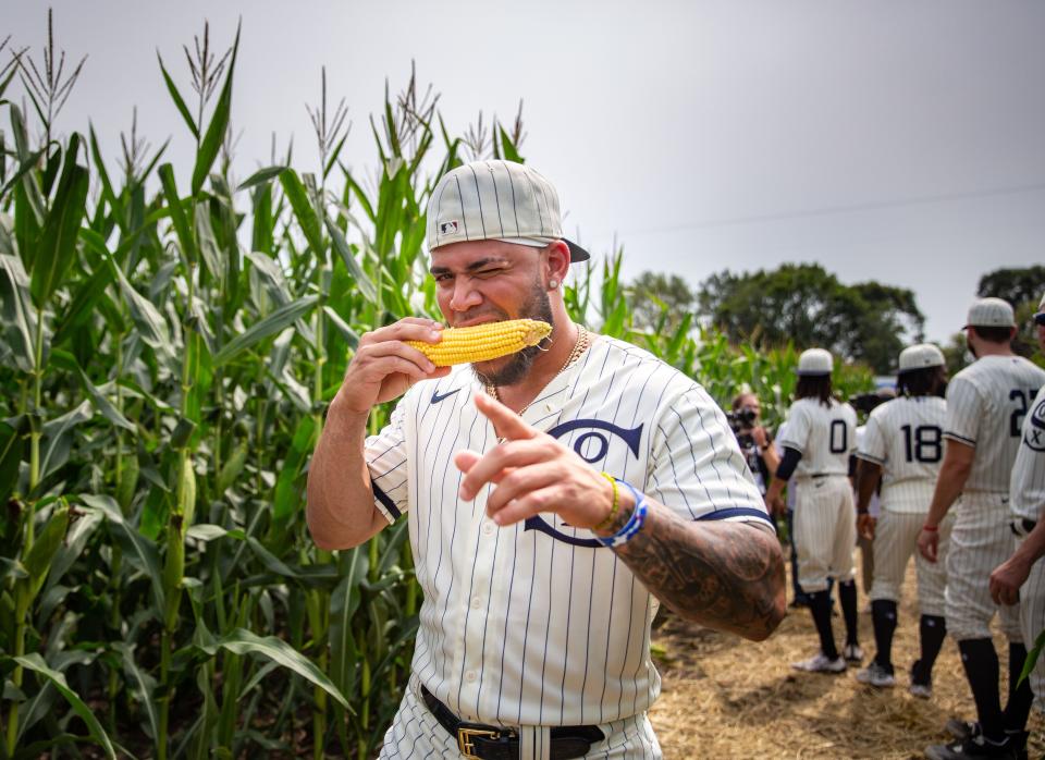 YoÃ¡n Moncada of the Chicago White Sox tries an ear of corn as players tour the Field of Dreams site before tonight's game between the New York Yankees and the Chicago White Sox outside of Dyersville, Thursday, Aug. 12, 2021.
