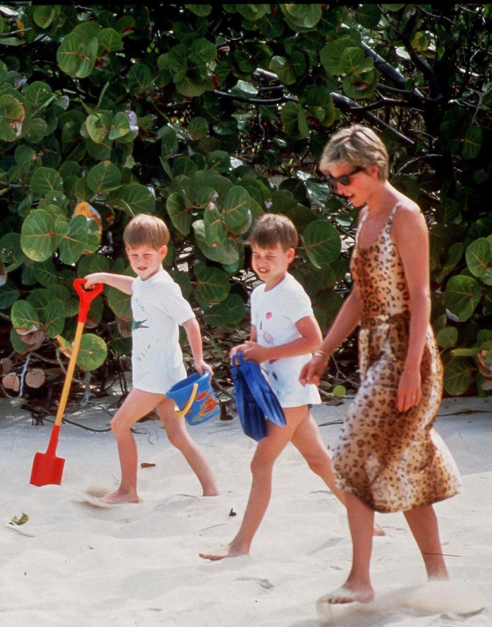 Princess Diana with Prince William, and Prince Harry, on Necker Island in the Caribbean in April 1990. The late princess also holidayed with her sons on the small, secluded island of Barbuda (Getty)