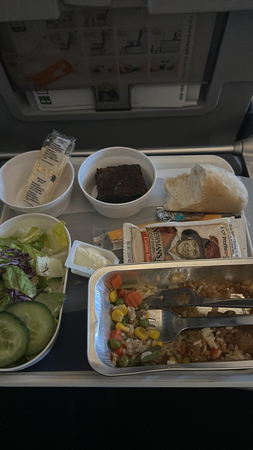 A picture of Raygada's in-flight meal.