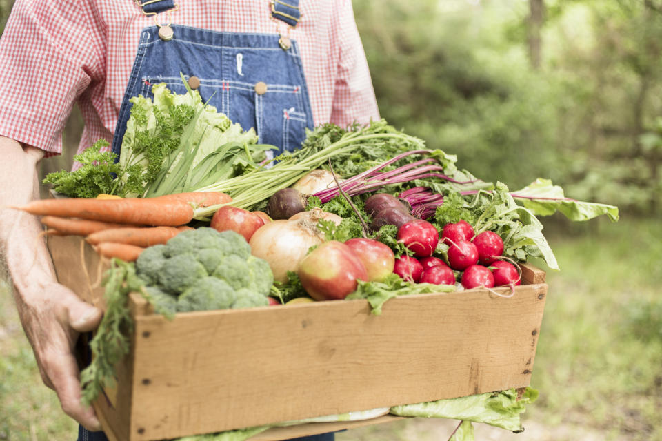 Organic farmers could face waits of up to nine months before they can export to the EU in a no deal Brexit (Getty Images)