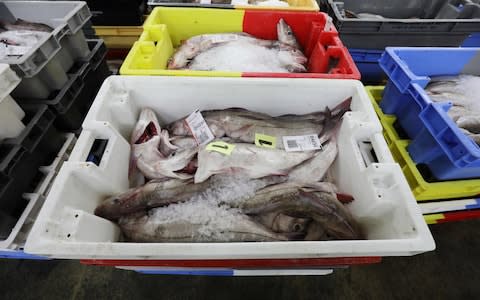 A crate of haddock at the fish market at the harbour of Le Guilvinec - Credit: LUDOVIC MARIN/AFP/Getty Images