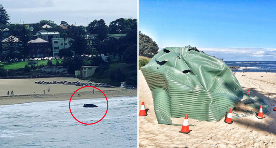 A water tank washed up on Coogee beach