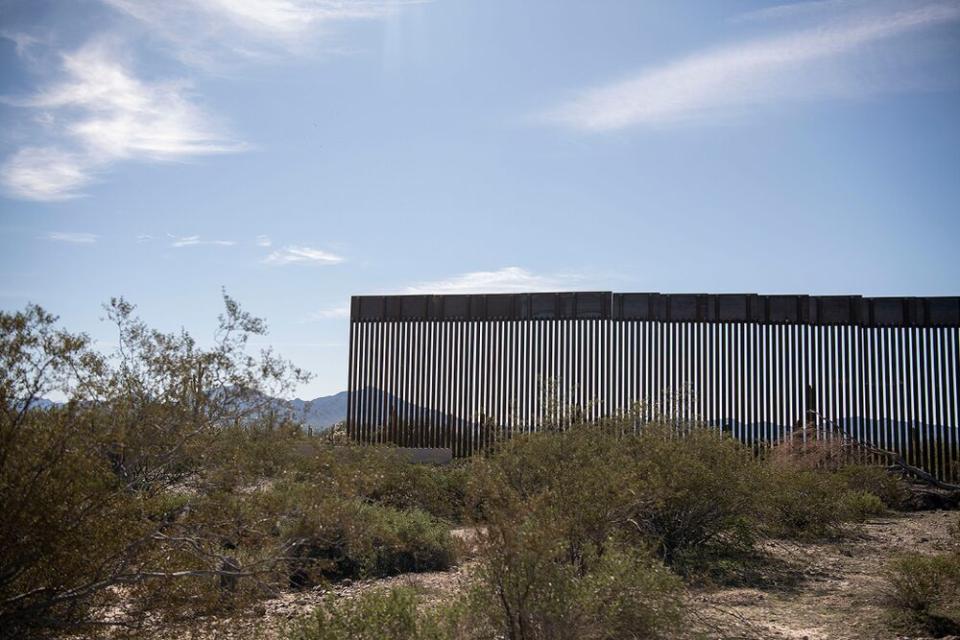 A new section of the Mexico border wall stands in the Organ Pipe Cactus National Monument in Lukeville, Arizona, on Jan. 7. | Carolyn Van Houten/The Washington Post via Getty