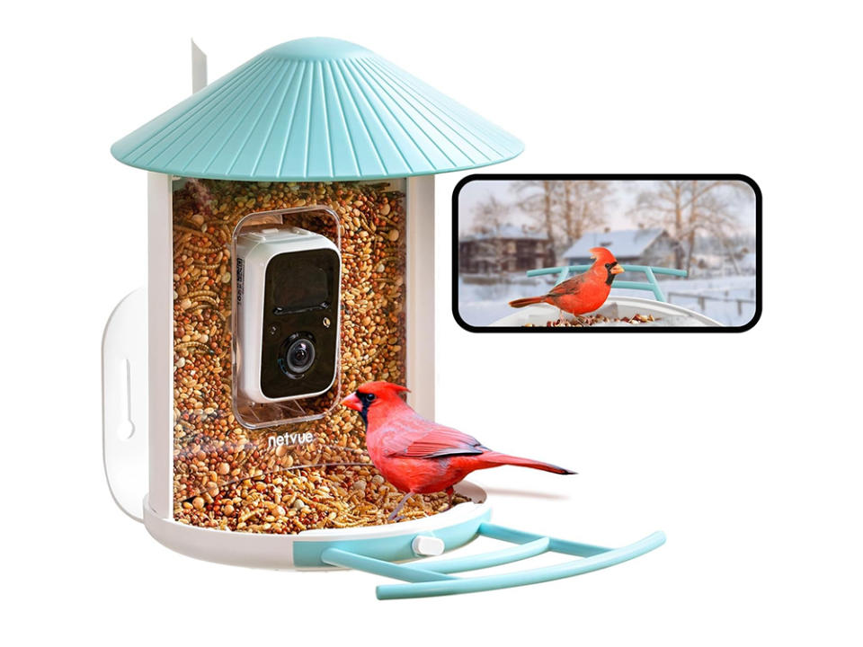 Netvue Birdify Smart Bird Feeder With Camera