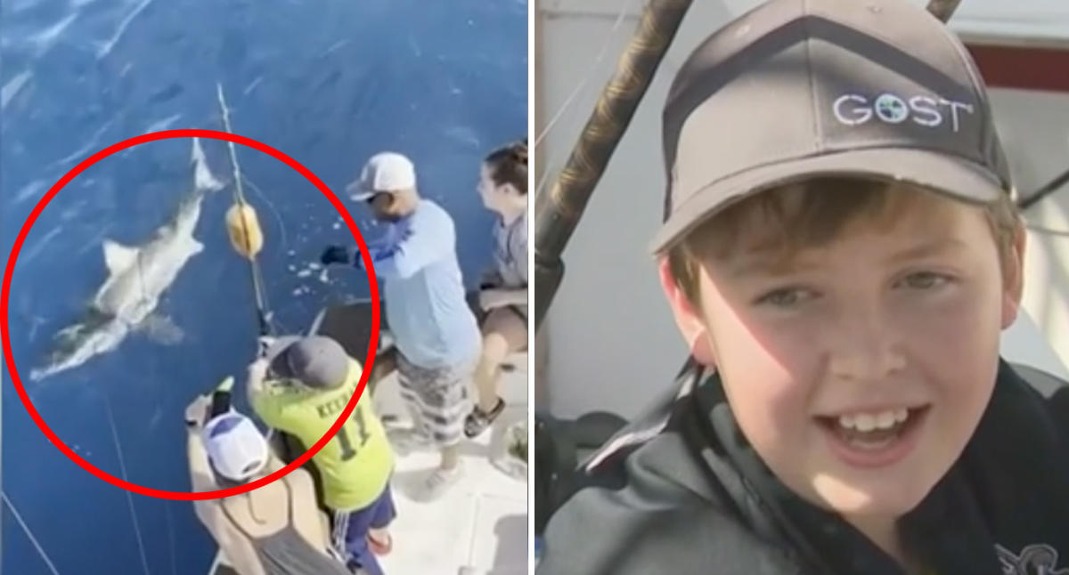 Boy, 12, 'ecstatic' after catching massive great white shark