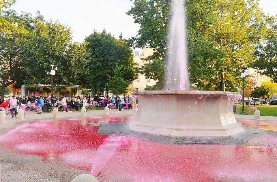 Breast cancer survivors with friends and family, back left, gather in east Perry Square to watch the fountain turned pink to kick off Breast Cancer Awareness Month.