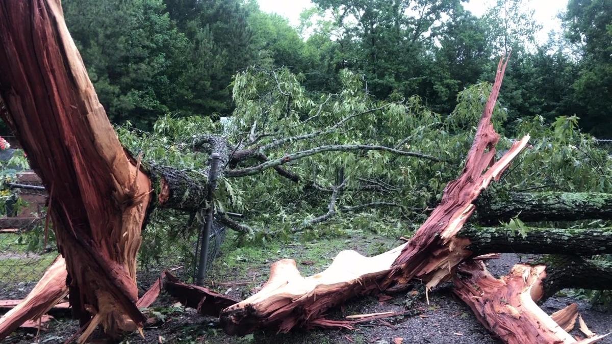 Lightning Strike Causes Tree To Explode Outside Of Alabama Church 