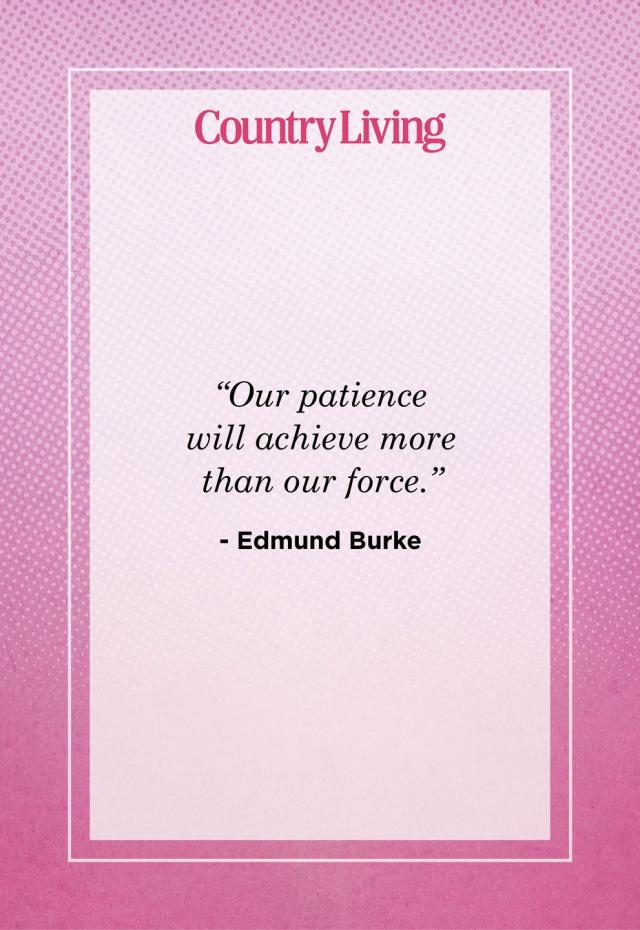 no patience quote