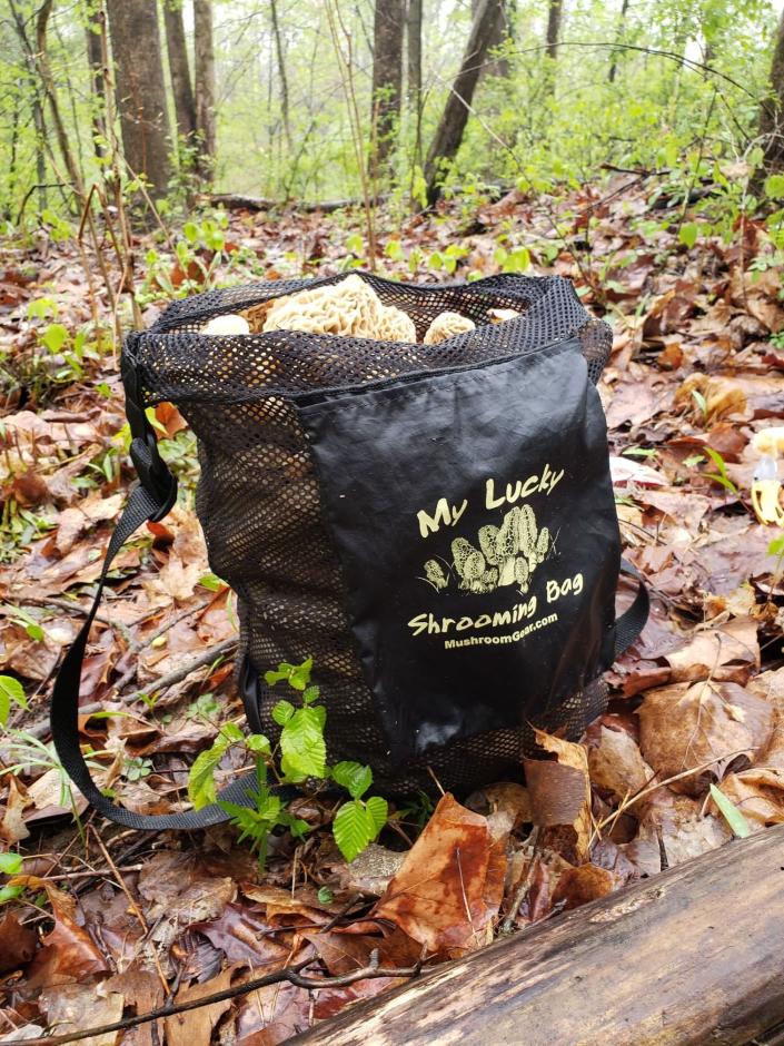 Andrew McCloud&#39;s special Shrooming Bag during morel season. The fungi grows in Indiana for a short period in early spring, and foragers from across the state head into the woods to search for the flavorful morel.