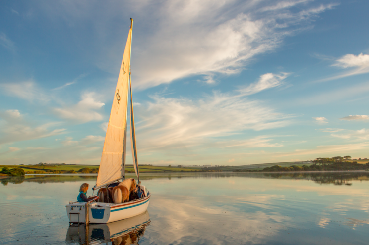 The pair toured the Shetland Islands on the back of a boat (SWNS)