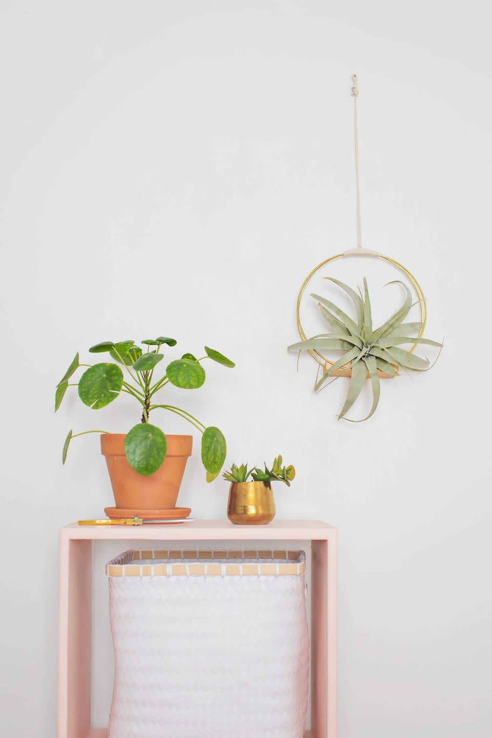 Brass Ring Hanging Planter