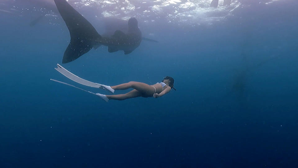 The snorkeller experienced an amazing encounter with the whale shark.  Source: Viral Press/ Australscope