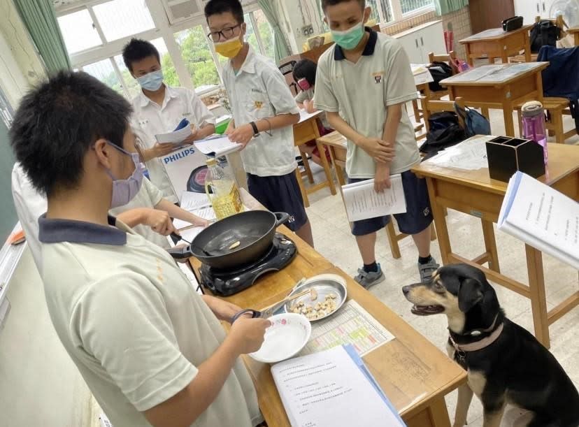 第3名為淡水商工校犬「巧克力」，不定期監督同學實習課有沒有認真學習。   圖：新北市動保處提供