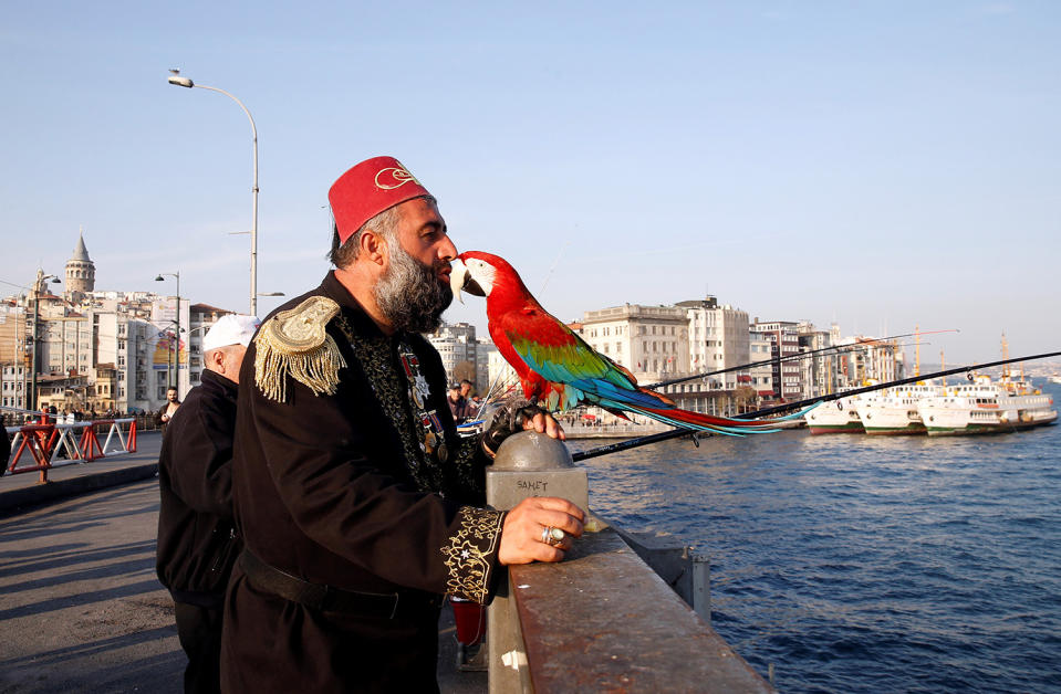 Life with a parrot in Istanbul