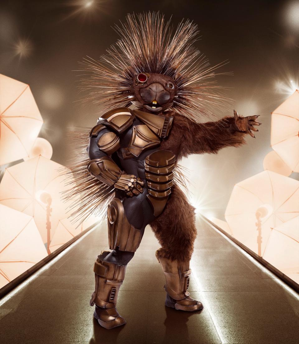 porcupine masked singer