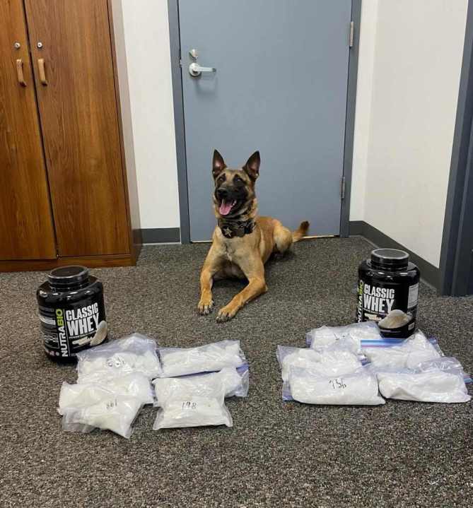 Walton County Sheriff's Office K9, Jett, lying between two protein powder containers. There are bags filled with methamphetamine lying on the floor in the foreground of the photo. 