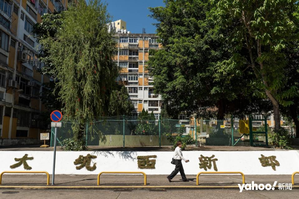 屋邨中央是種滿大樹的公園，曾經是居民乘涼、開會的地方，重建前平屋一度封鎖公園。
