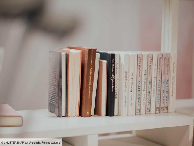 Rangement de livres : comment ranger quand on a beaucoup de livres