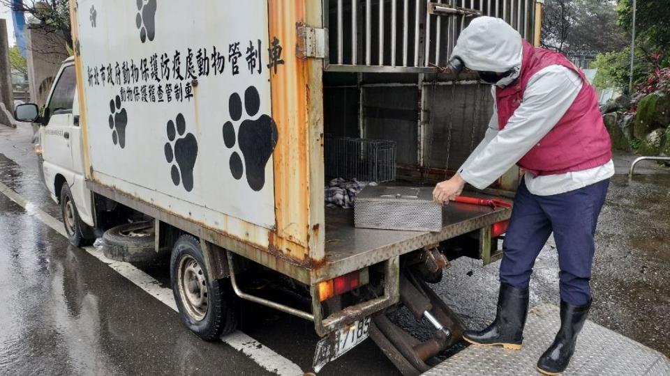 動保處人員到場捕捉，最後將蛇野放山林。（圖／翻攝新北市動保處官網）