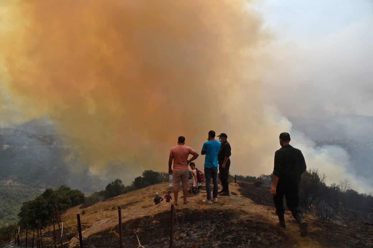 Smoke billows from a fire in the forested hills of the Kabylie region, east of Algiers, in August 2021 (AFP via Getty Images)