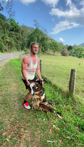 Nick 'The Honey Badger' Cummins Rescues Goat Trapped In Fence