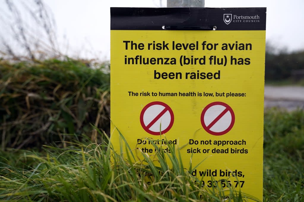 The Avian Influenza Prevention Zone across Northern Ireland is to be lifted (PA) (PA Wire)
