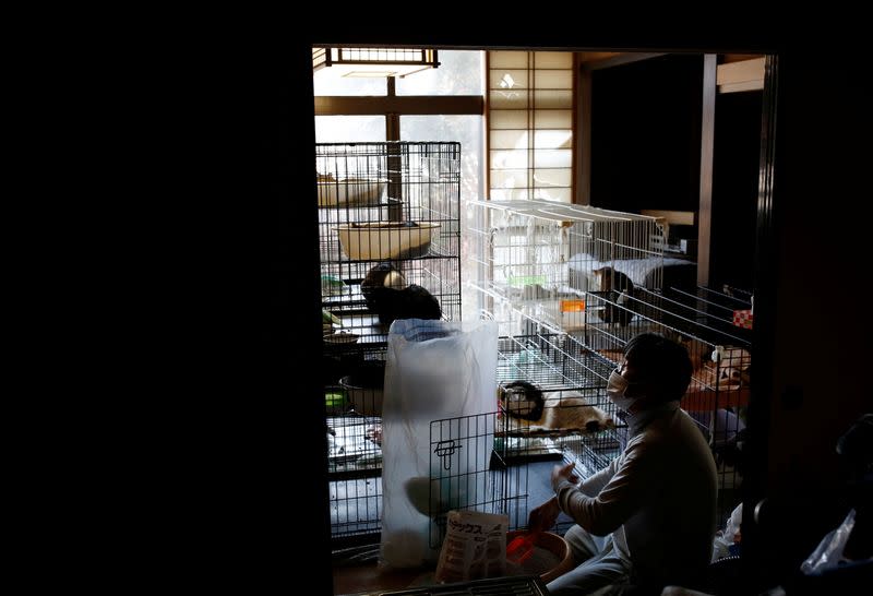 The Wider Image: The man who saves forgotten cats in Fukushima's nuclear zone