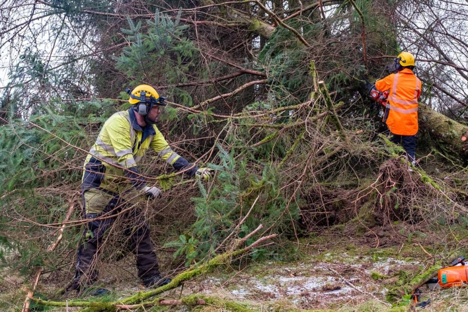 Scottish and Southern Electricity Networks teams working to reconnect homes after Storm Arwen (SSEN/PA) (PA Media)