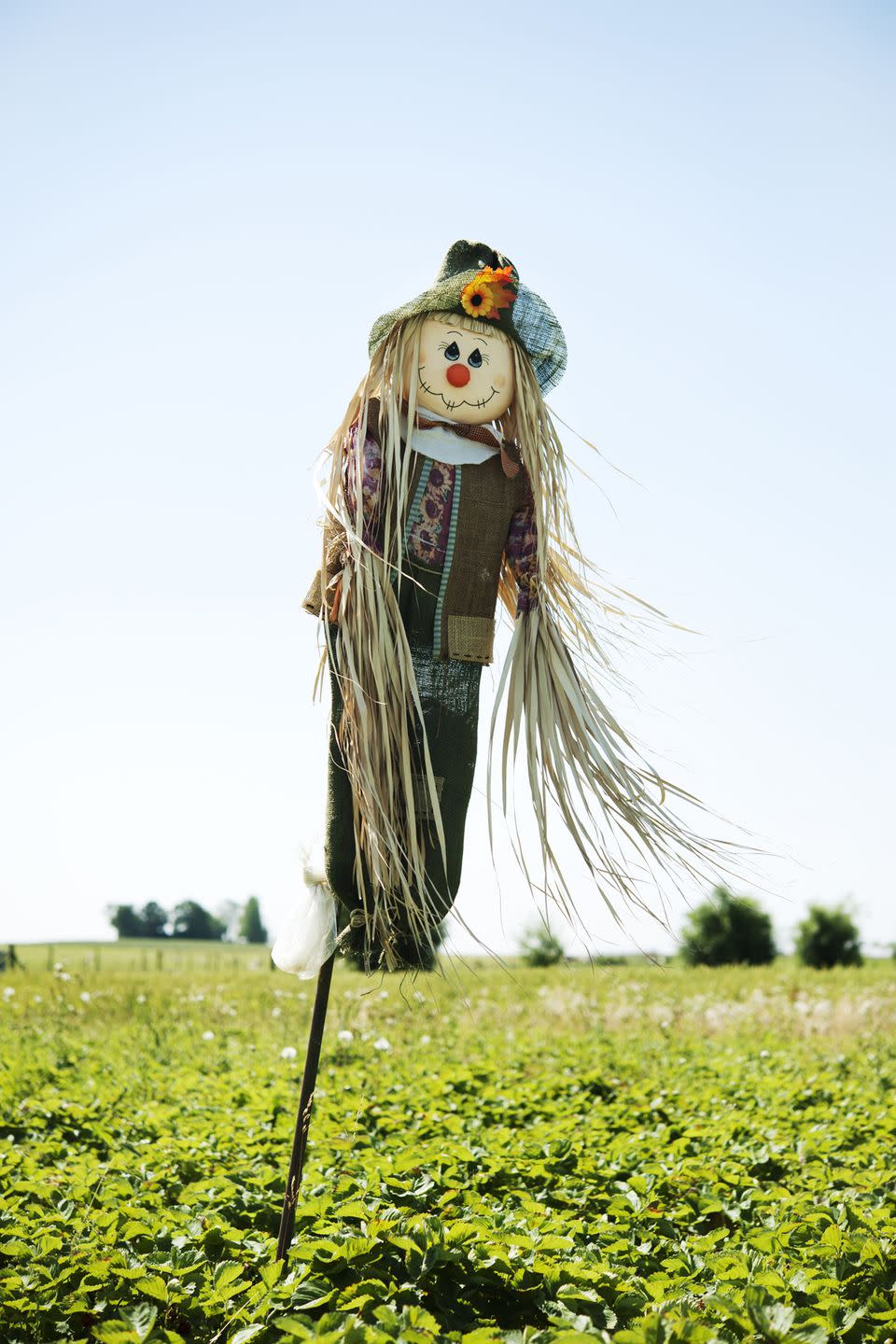 36) Make a Scarecrow