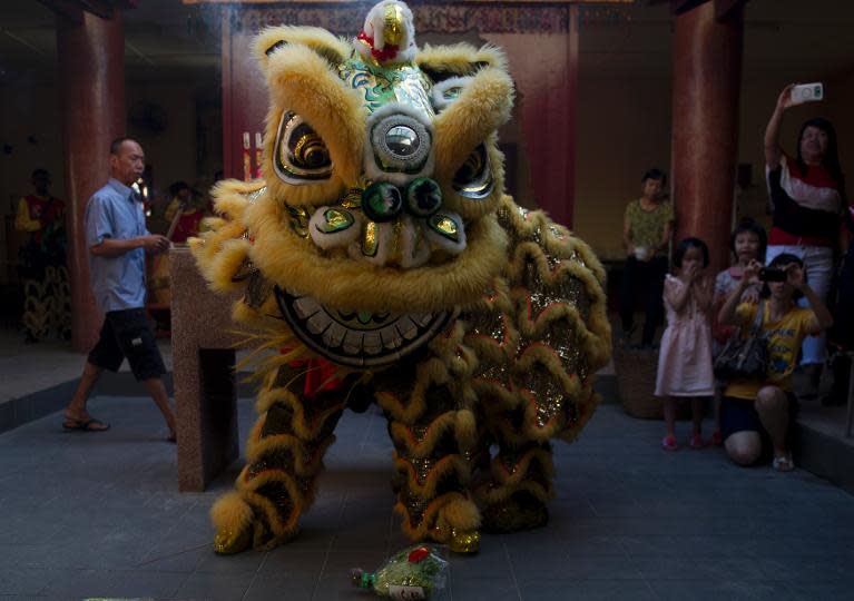 A traditional Chinese lion dancer perform during Chinese Lunar New Year celebrations at a temple in Ampang, in the suburbs of Kuala Lumpur, on January 31, 2014