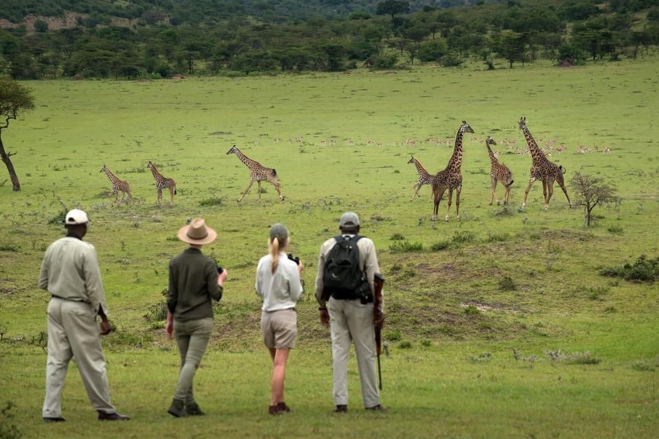 Klein&#39;s walking safari in Tanzanian