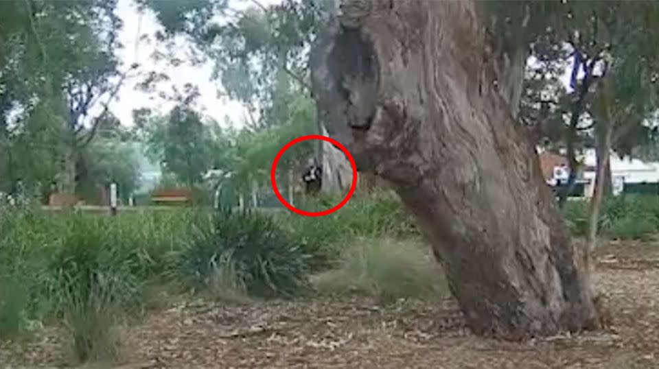 The parking officer can be seen emerging from behind a tree and writing up a $200 fine for the young dad. Source: Michael Pape